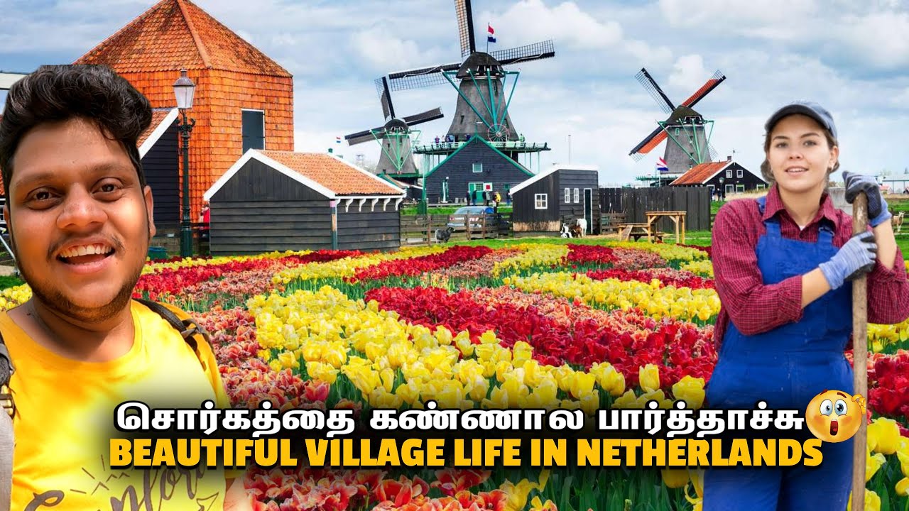 Netherlands கிராமம் என்ன யா இப்படி இருக்கு | Europe Ep 17