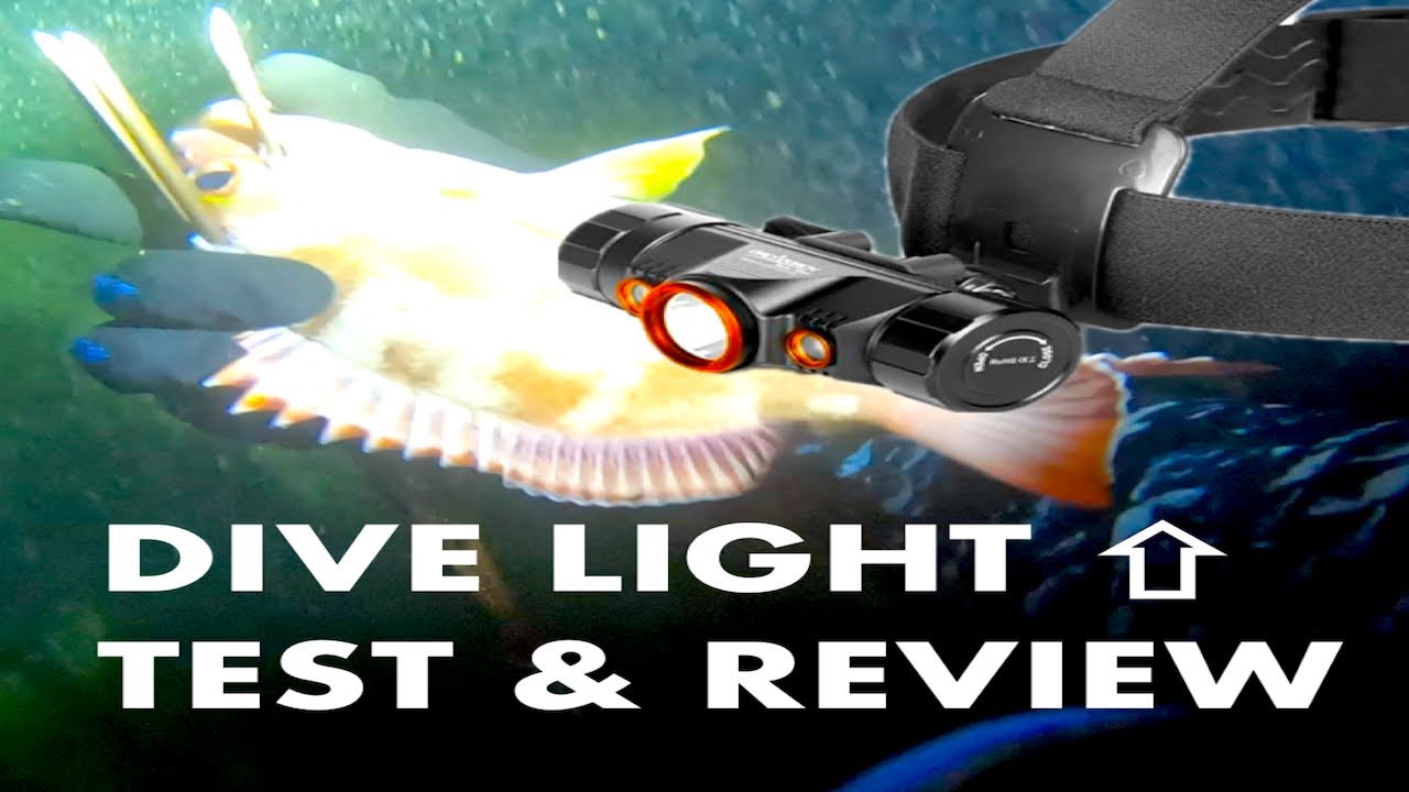 Night Diving Hawaii, Orca Torch TD01 Diving Light- Test and Review.