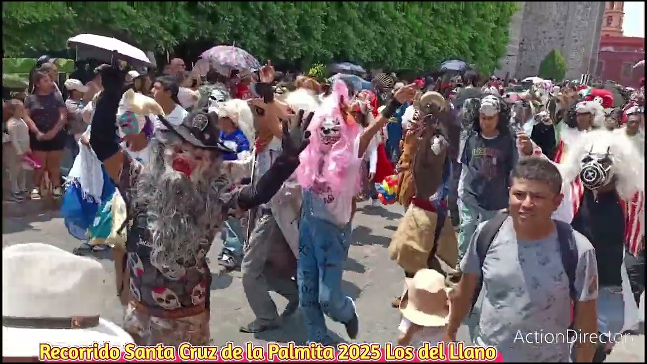 Recorrido de la Santa Cruz del Barrio de la Palmita 2025 Danzas y Grupos de Locos 🎉🤡🎶🔊 Los del Llano
