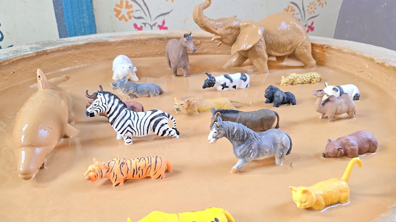 The Ultimate Animal Journey with Inteligent Dolphin and Domestic Animals