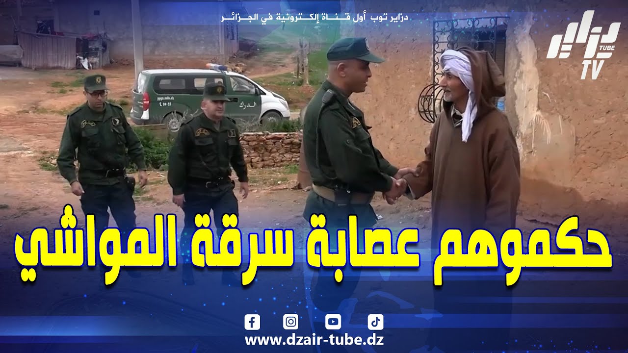 شاهد .. توقيف #سارقي_المواشي و استرجاع رؤوس الماشية المسروقة بولاية غليزان
