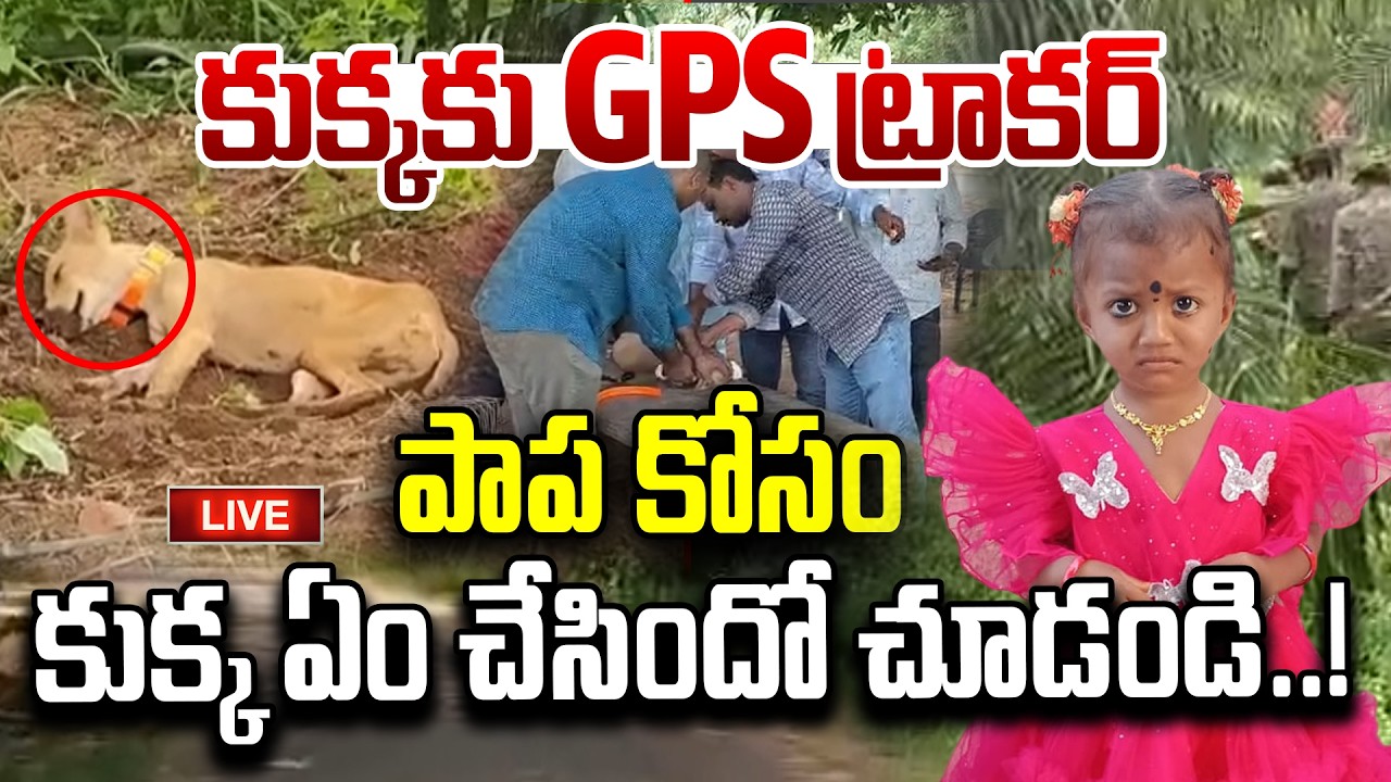 BIG Twist In Kakinada Missing Girl Mystery🔴LIVE : పాప కోసం కుక్క ఏం చేసిందో చూడండి..! | 4sidestv