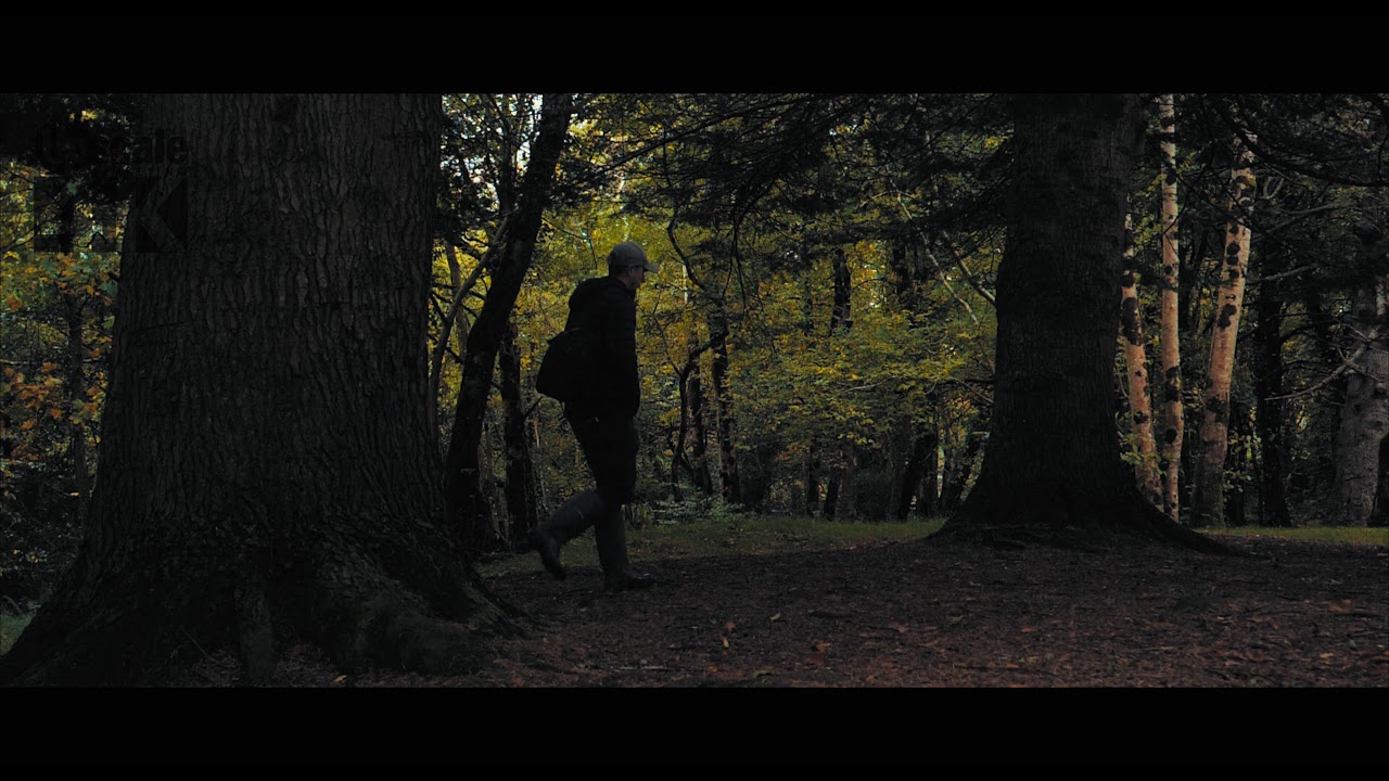The Beautiful Cladagh Glen walkway in Co. Fermanagh N. Ireland a great tourism getaway