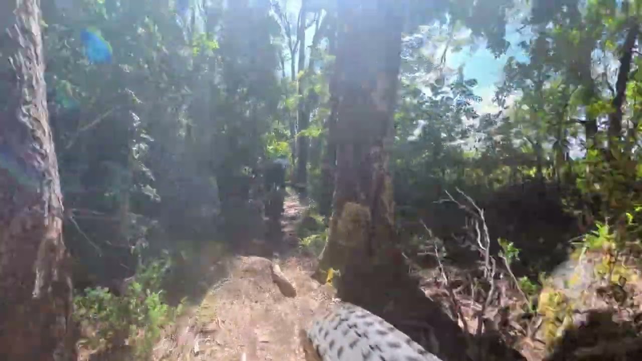 bajada cerduo! pucon 2026, carpintero! con larre!