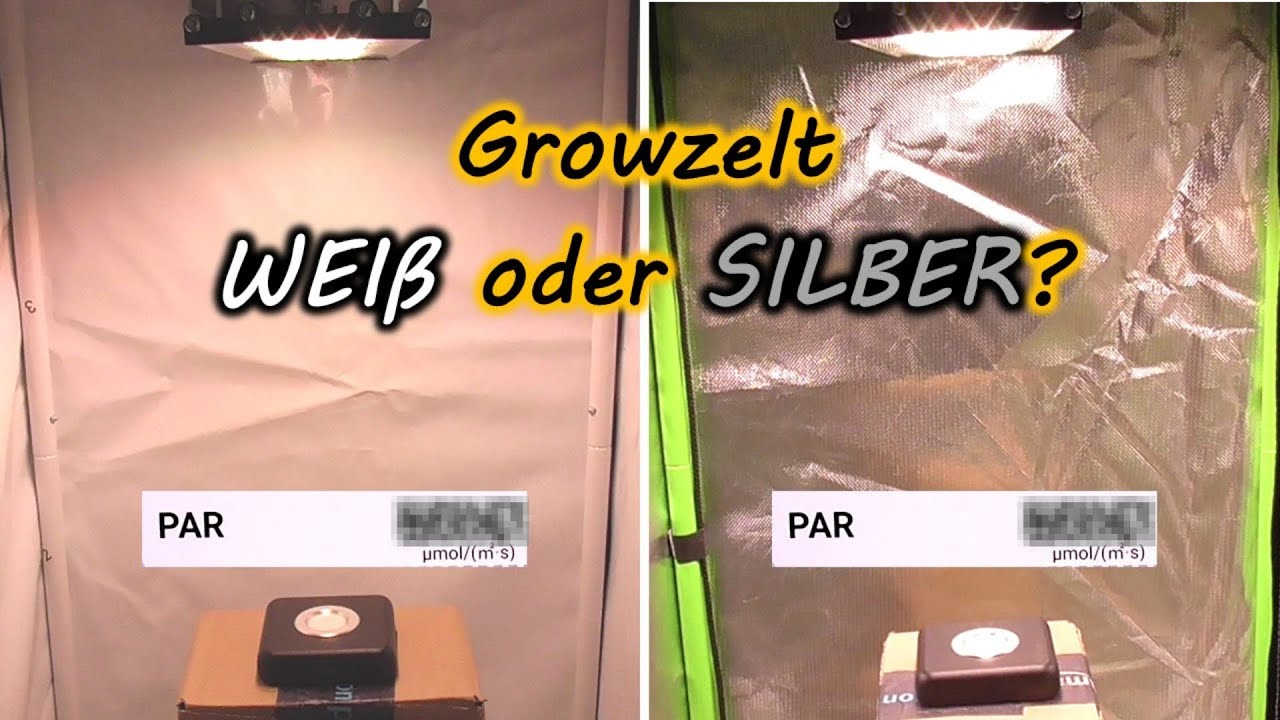 Growbox innen Weiß oder Silber - was reflektiert besser? | Wärmeentwicklung | Zelsius vs. GrowPro