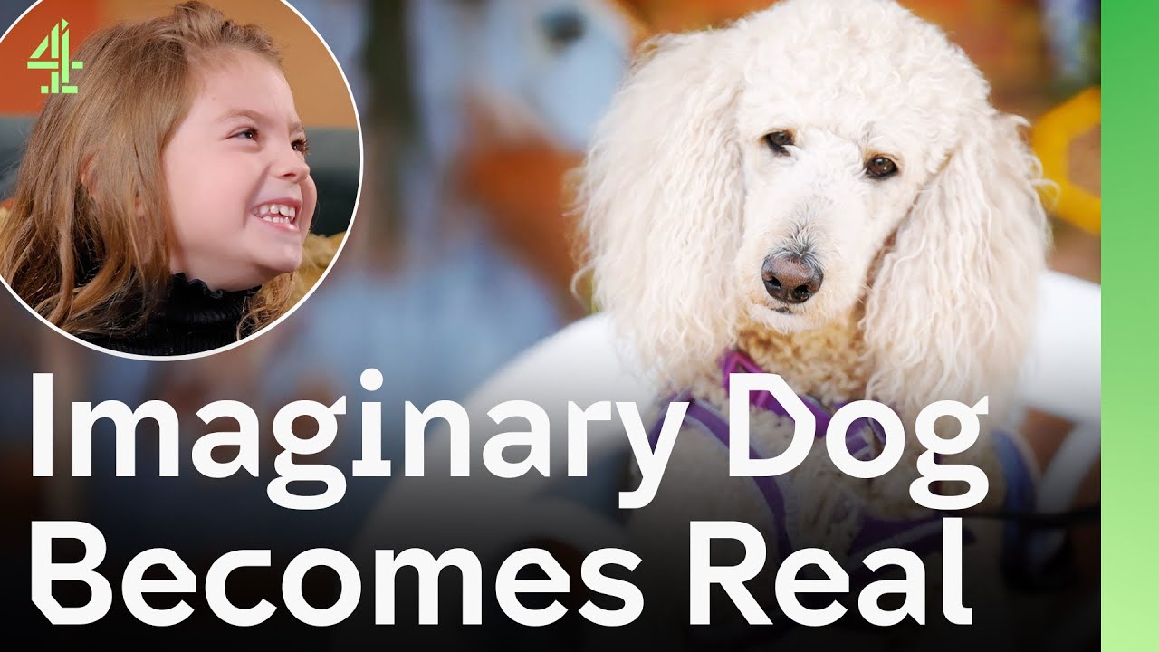 Imaginary Dog She Dreamed Of Became Her Perfect Real-Life Friend | The Dog House 🐶