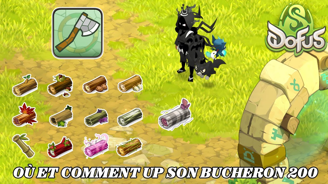 🌲 ASTUCES & CONSEILS 📍 OÙ ET COMMENT UP SON BUCHERON 200 ? 🔨 - DOFUS 3