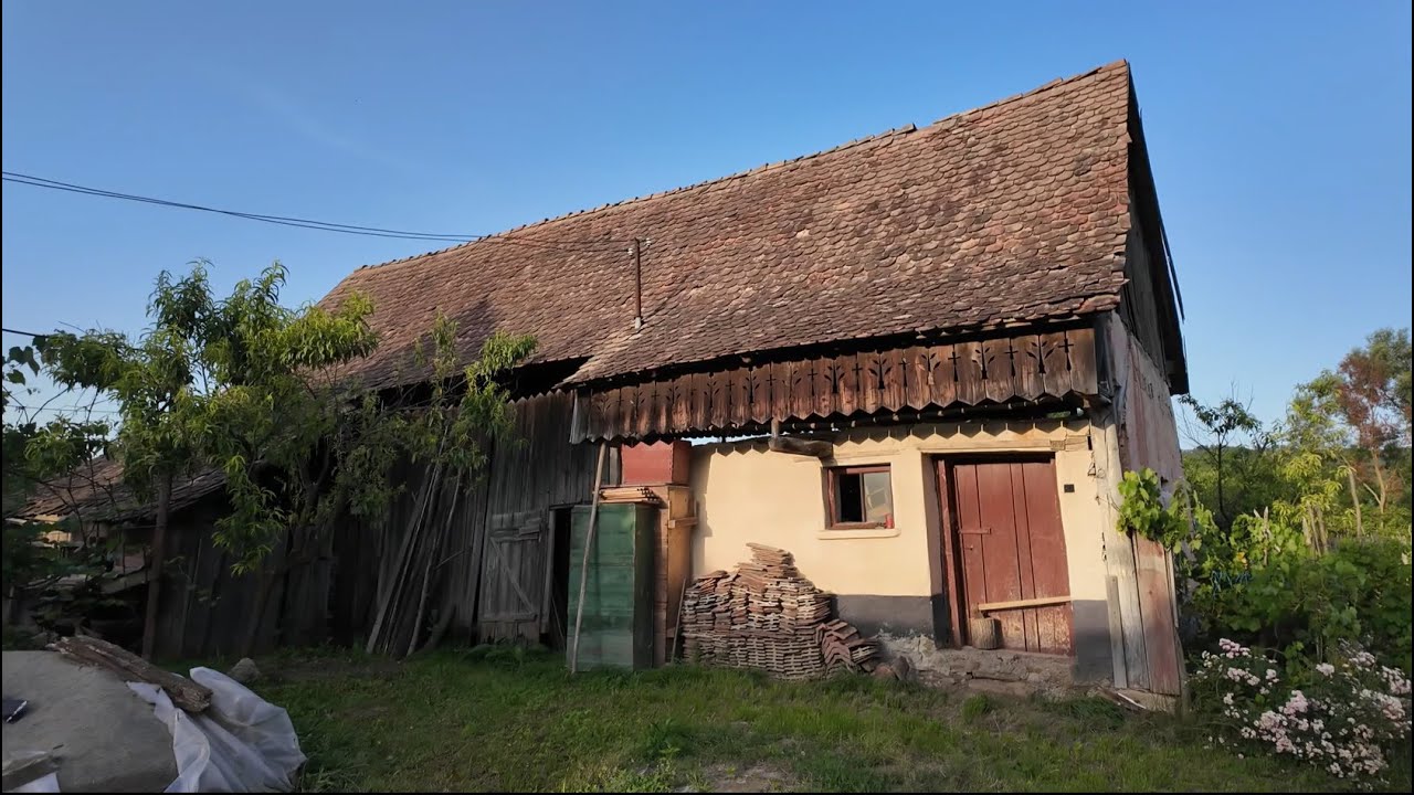 Cum sa scap de Cartitele din Gradina Casei Sasesti ? Am incercat vreo doua metode