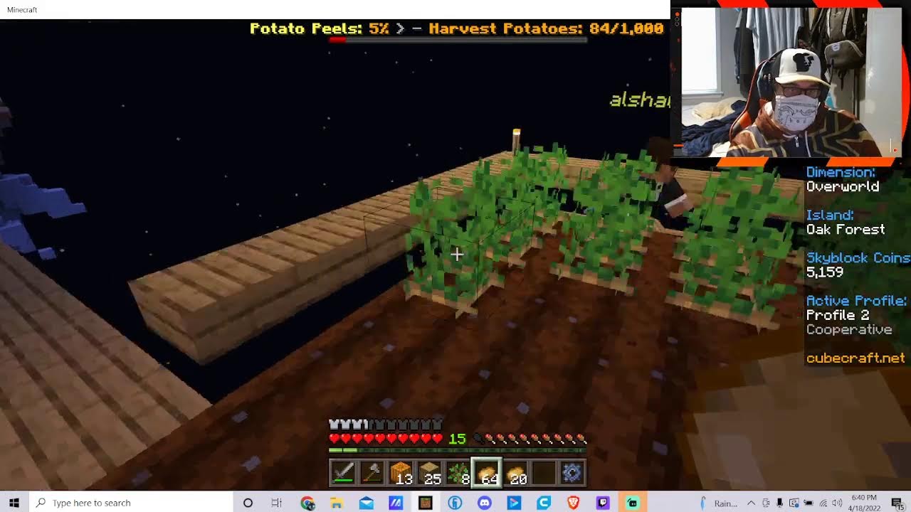 MInecraft Skyblock 100 Days on CubeCraft