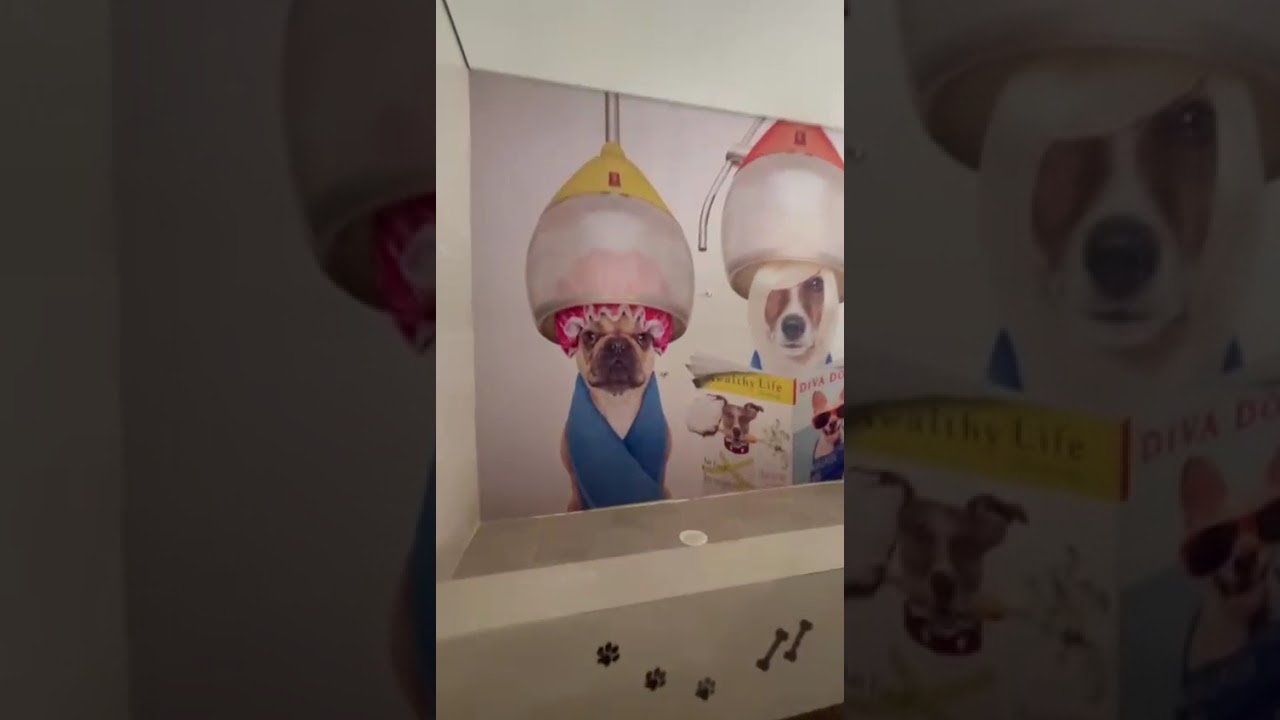 SOBRADO VAGO - BAIRRO JARDIM - ADAPTADO PARA PET SHOP - LOCA&Ccedil;&Atilde;O
