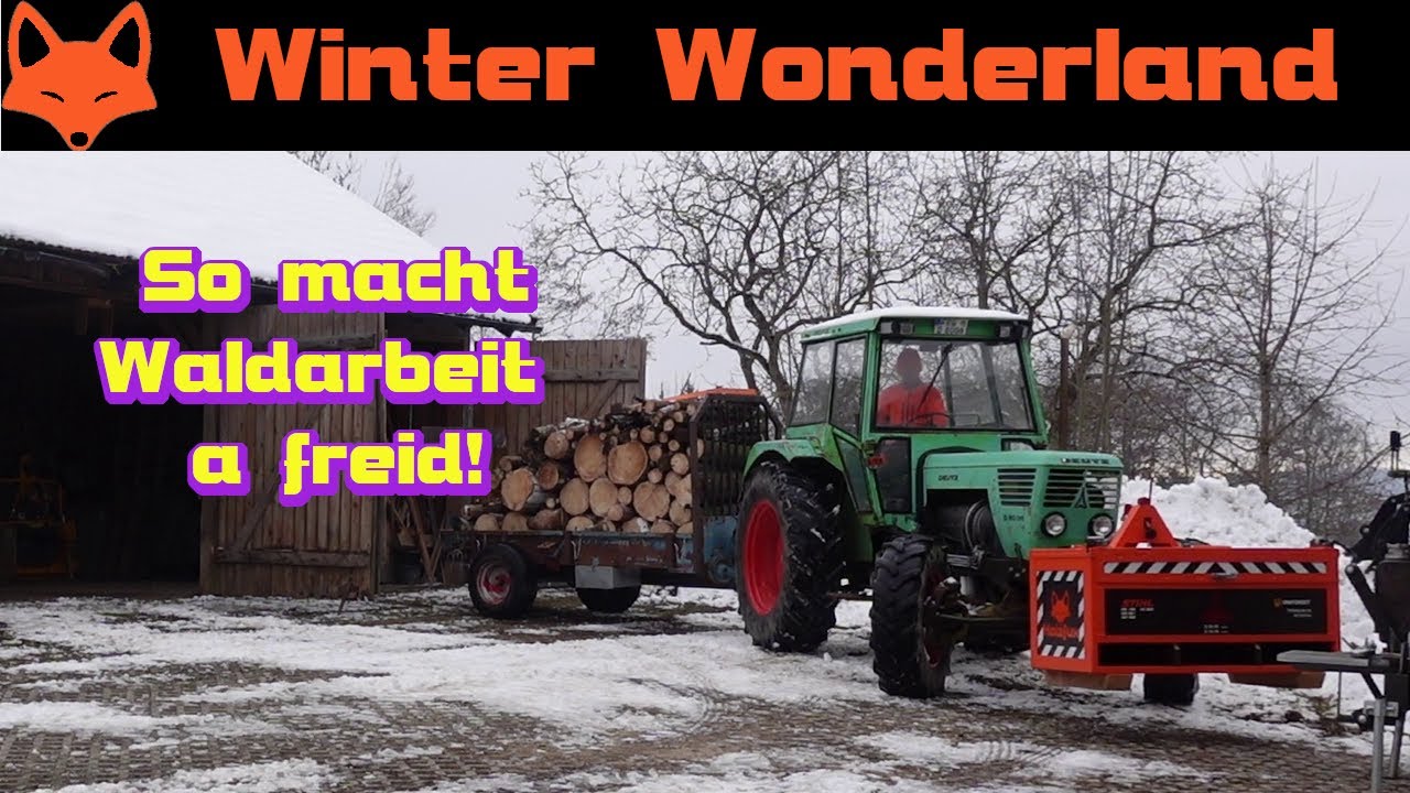 Waldarbeit unter Traumbedingungen - Winterwald 01/22