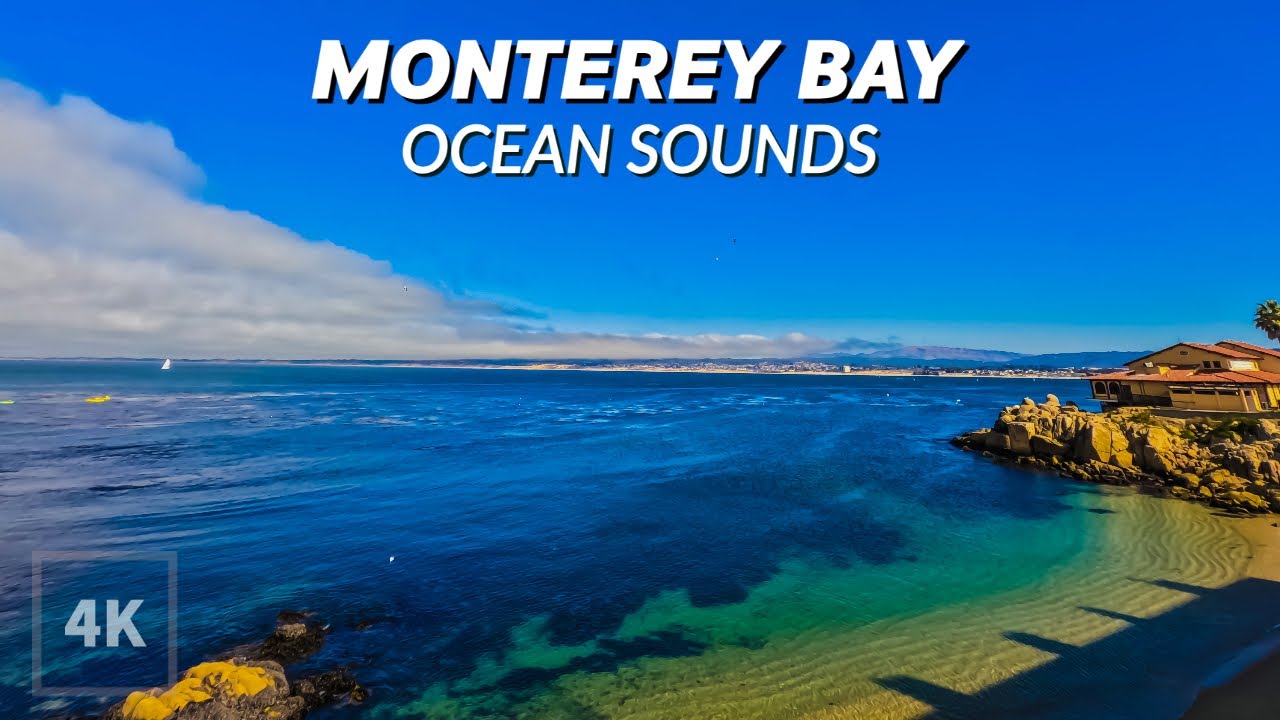 Relaxing Monterey Bay Ocean Sounds