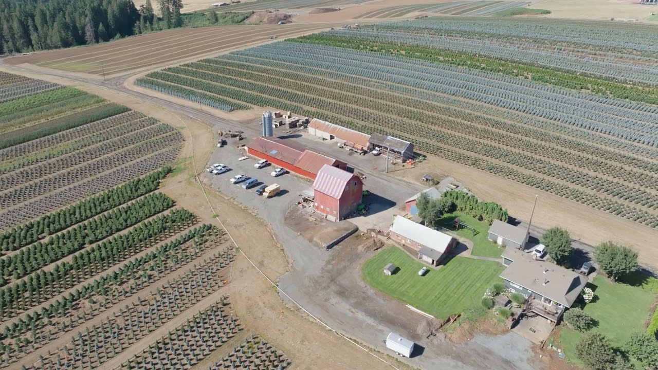 Sester Farms Drone Tour