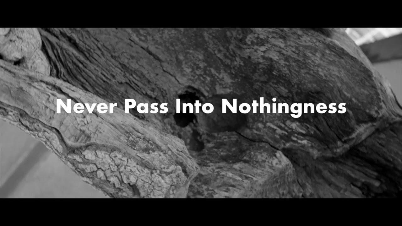 Erland Cooper - Never Pass Into Nothingness