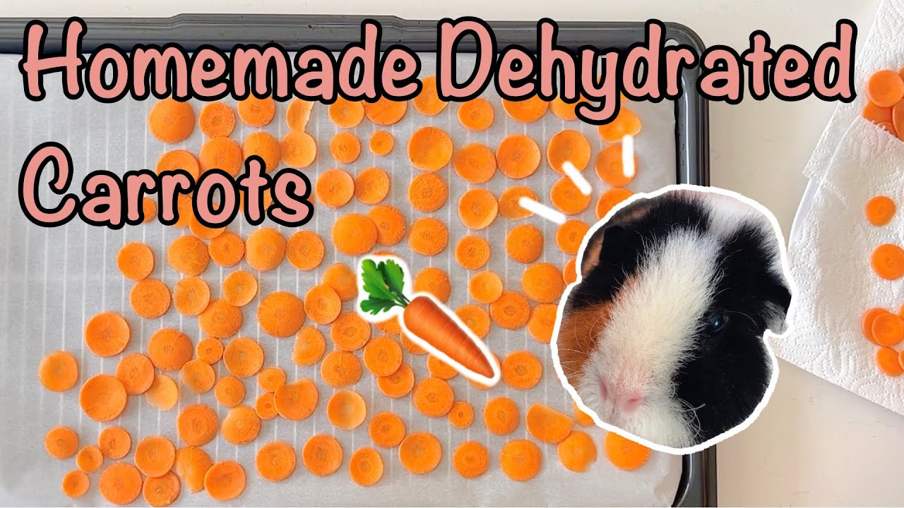 Homemade Dehydrated Carrots: Easy and Healthy Treats for Guinea Pigs!