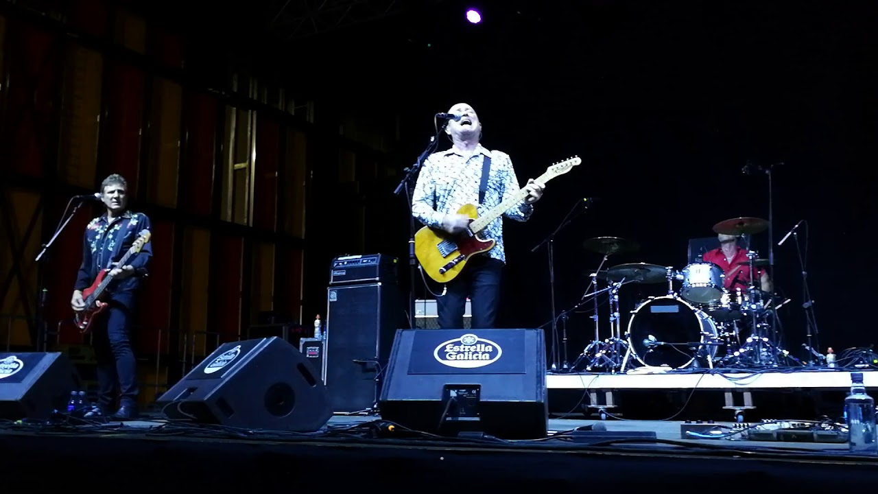 Hoodoo Gurus - 