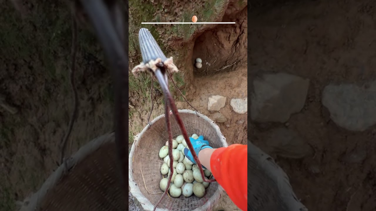Discover the Immersive Egg-Picking Garden: Count Flowers with Me