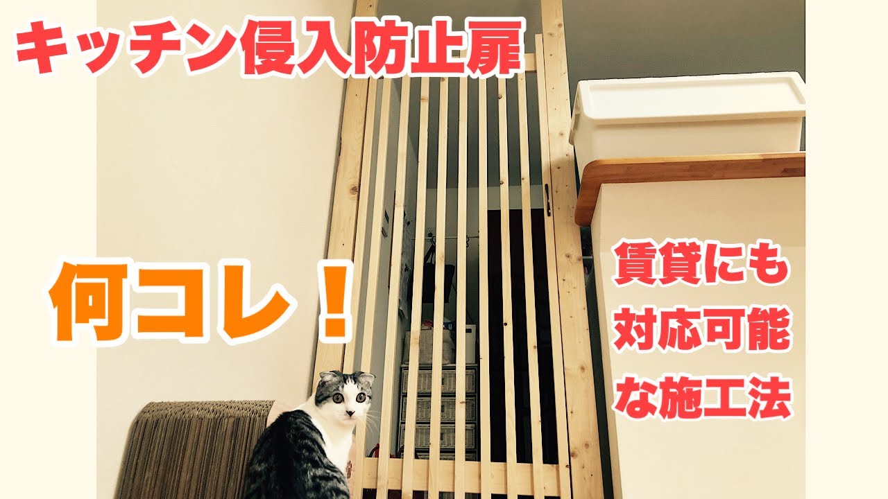 簡単でお手頃に猫のキッチン侵入防止対策！扉と壁二つ作ってみた【素人DIY】