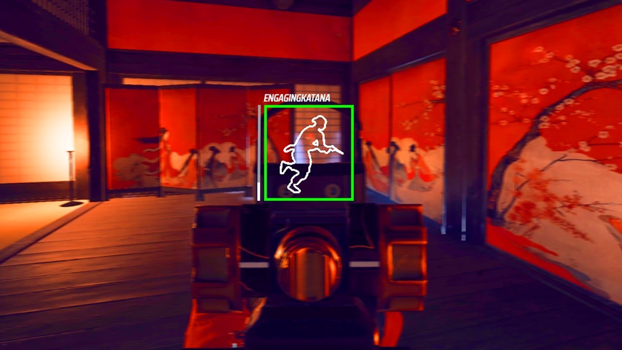 abusing my wallhack