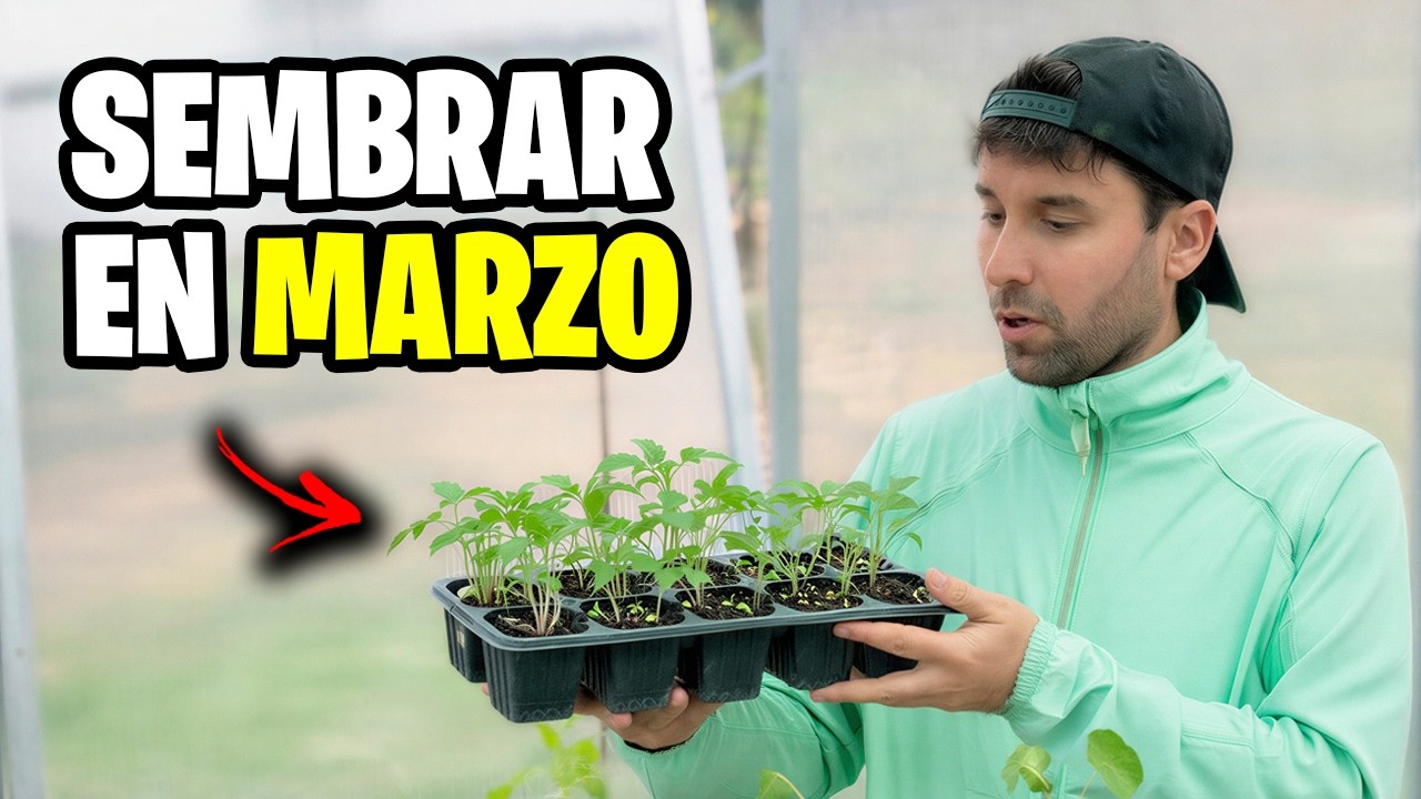&iquest;QU&Eacute; SEMBRAR EN MARZO? 🌱 Calendario de Siembra 2026 + Tareas del Huerto y Jard&iacute;n