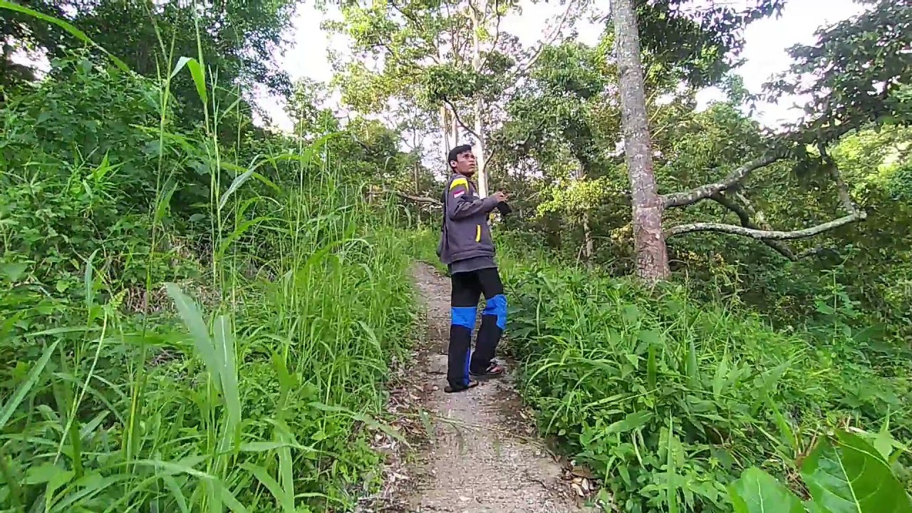 SOUNDWALK HUTAN GUNUNG RAJABASA LAMPUNG | TEKNIK AKUSTIK | TEKNIK FISIKA ITERA