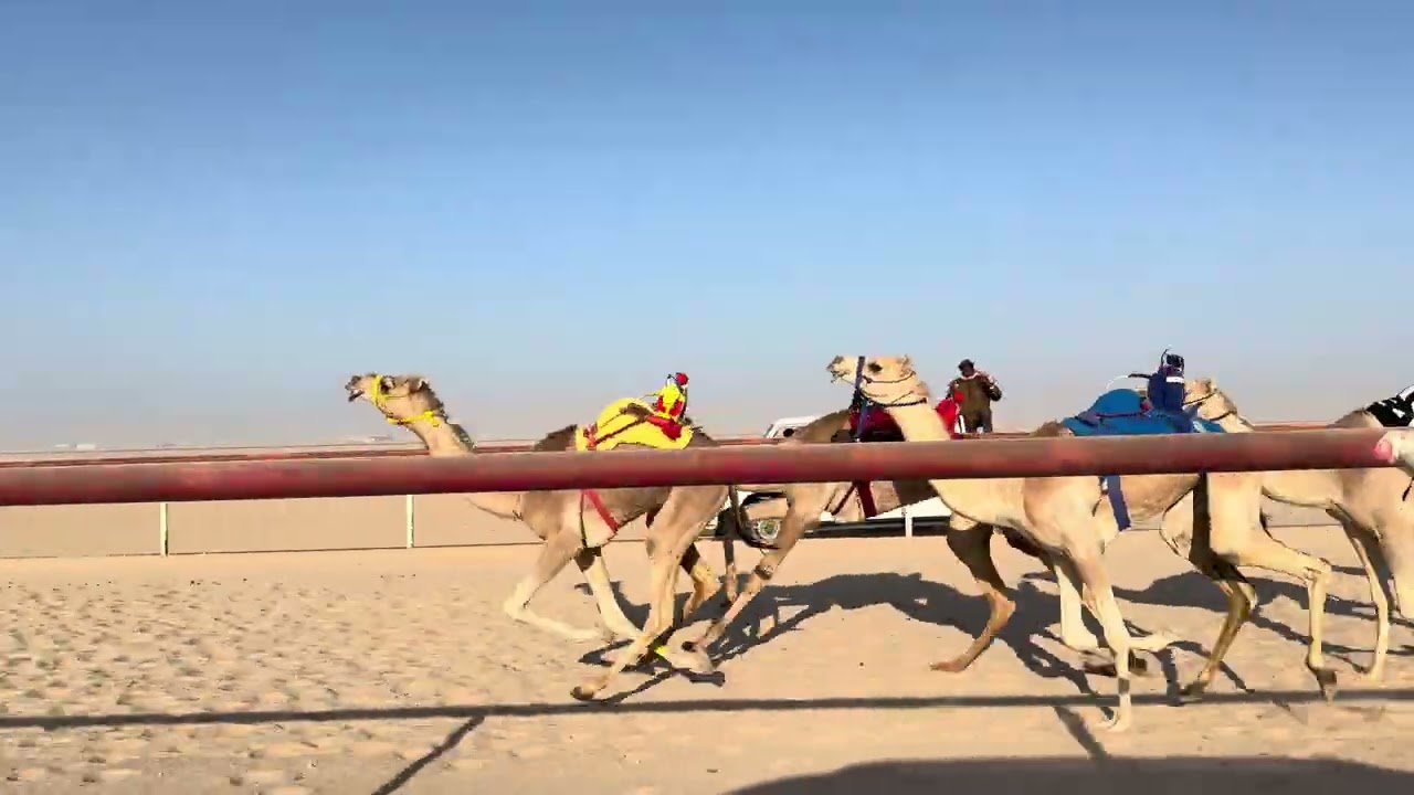 الشوط الثالث عشر 