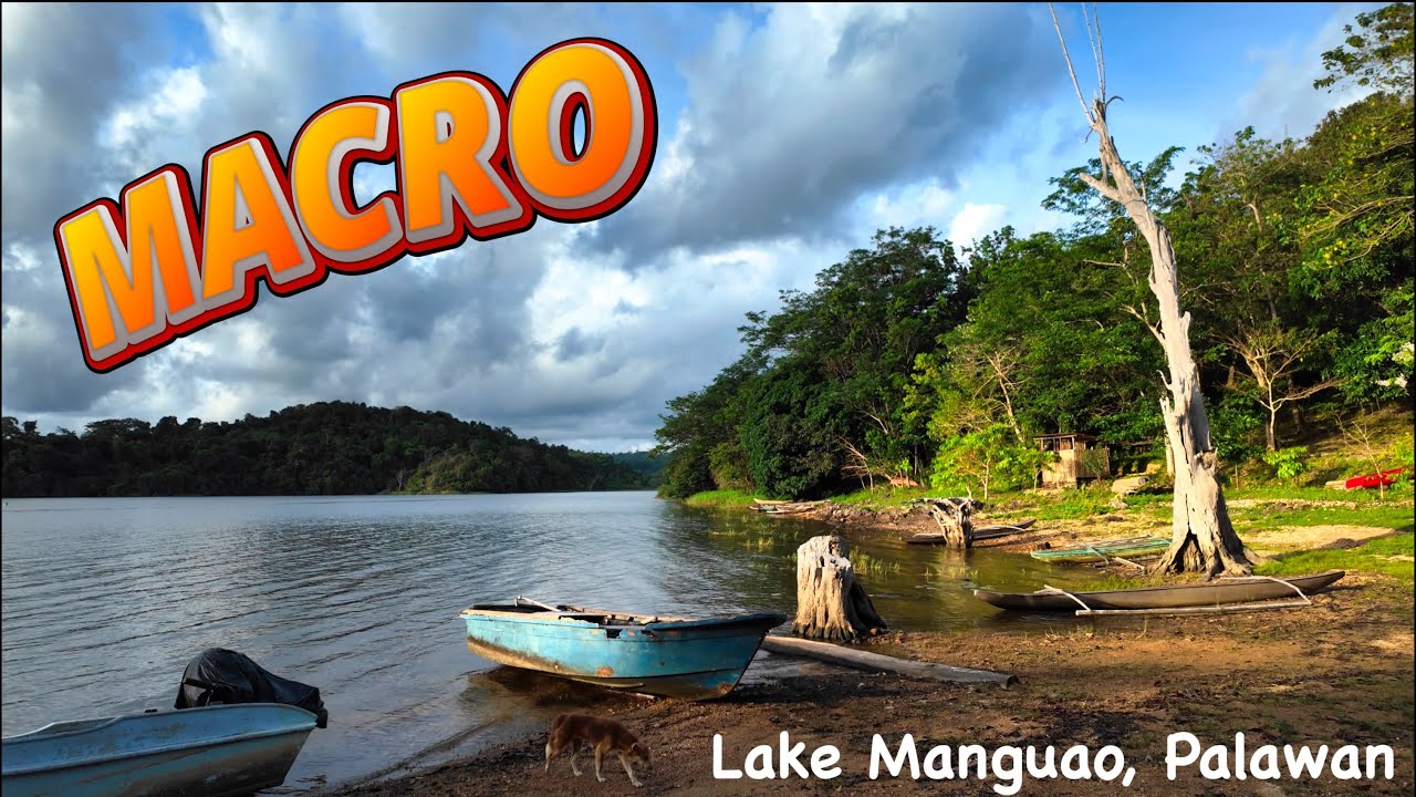 Macro at lake Manguao, with Sony A6700, Sony FE 90mm F2.8, with flash