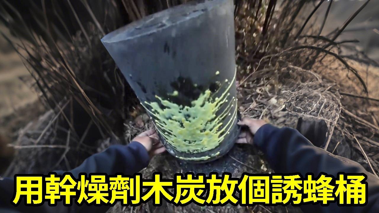 乾燥劑和木炭放在誘蜂桶裡，期待誘蜂效果！ 【莆農阿敏】