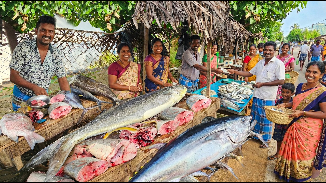Wow! The Hidden Geometry of Traditional Fish Stacking in Coastal Village Markets