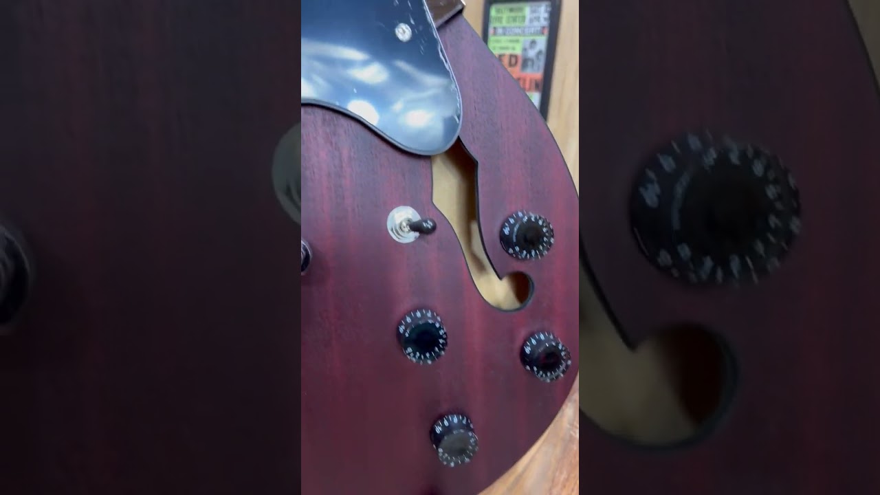 Guitarra Waldman GHO190 RDM | Semi Hollow | P-90 | Red Mahogany