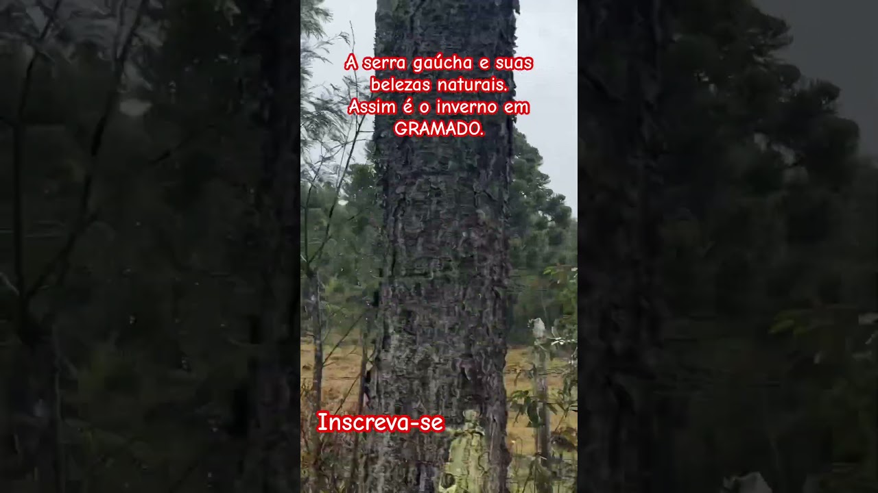 #viagembrasil #viagem #travelvlog #travel #riograndedosul #gramadoecanela