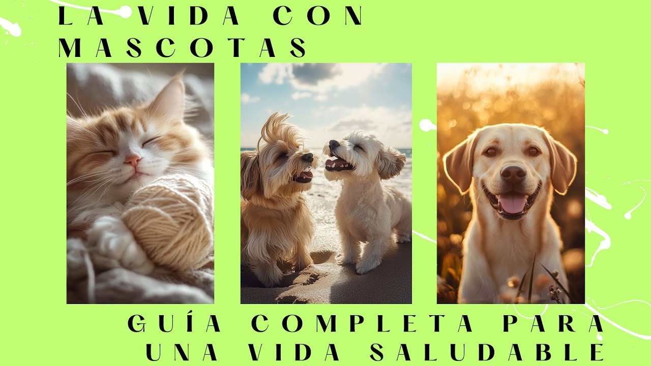 10 Consejos Esenciales para el Cuidado y Alimentaci&oacute;n de tu Mascota: Salud, Bienestar y Felicidad