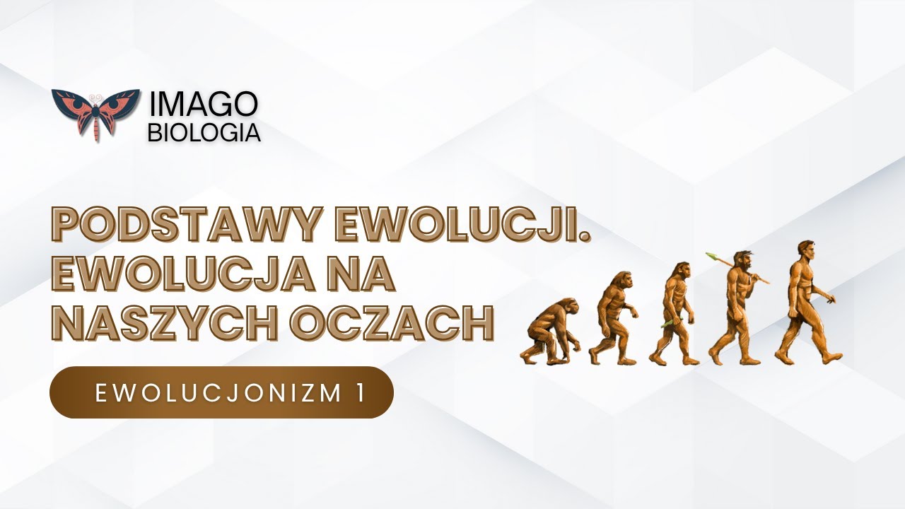 Podstawy ewolucji. Ewolucja na naszych oczach