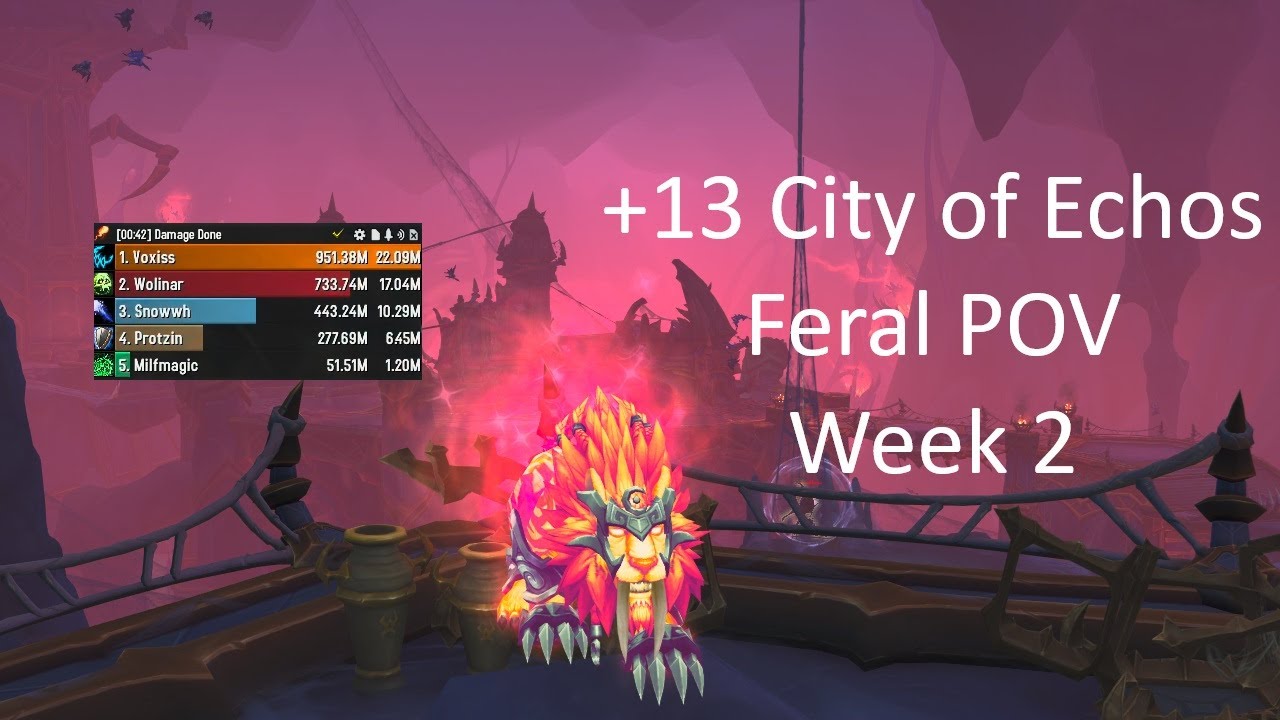 +13 City of Echos Feral POV | WoW TWW 11.2 Season 3 M+