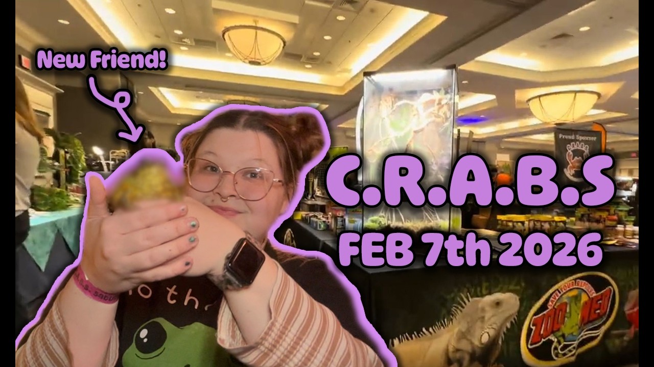 Come With Me To Get C.R.A.B.S! | Reptile Expo Vlog