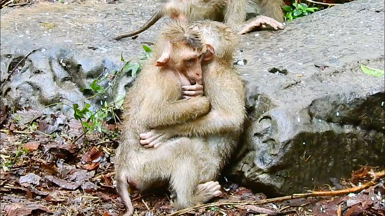 DEEP SADNESS AND QUITE COOL…Poor orphan Bryan hugging Ryan under raining fall.