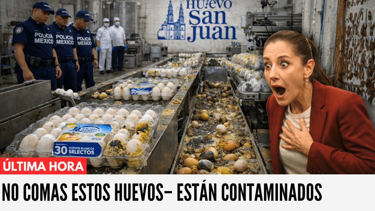 10 Marcas de Huevos que DEBES Evitar (y 10 que SÍ Son Seguros)