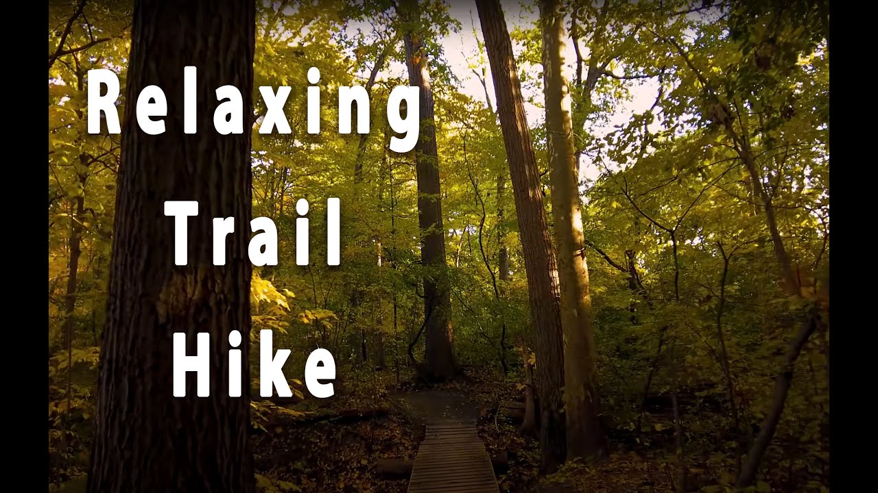 Relaxing Trail Hike | Fall Colors in Michigan [4k]