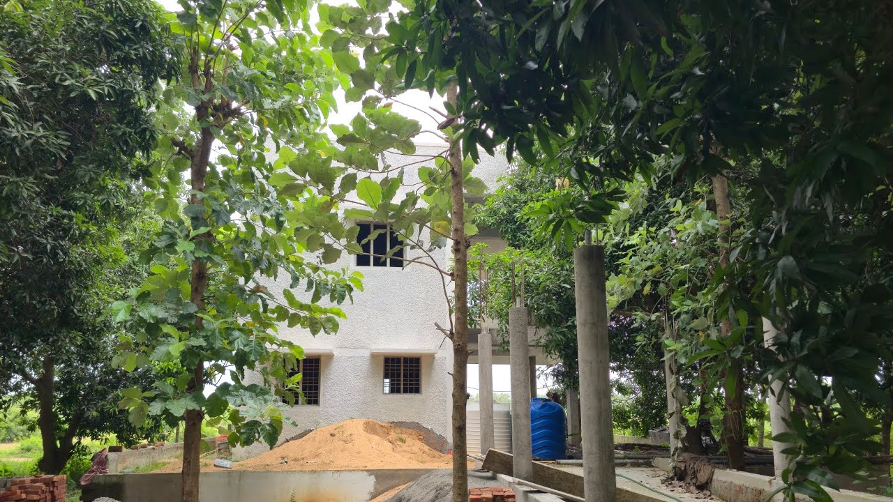 NO: 281 16.5 Cent 5 BHK Greenery Farmhouse  ECR OMR Poonjeri poonthandalam Ct 9787892113