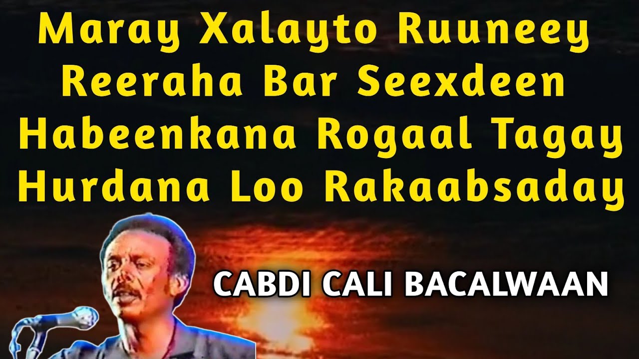 bacalwaan | Cabdi Cali Bacalwaan Heesta ma daydayey qof iyo raad  | Bacalwaan hayga raacin duul kale