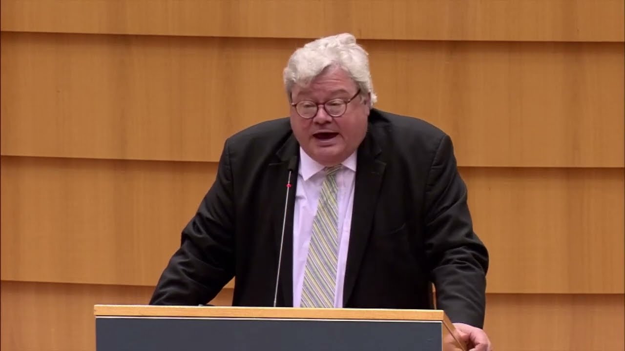 Reinhard B&uuml;tikofer European response to Russia's Invasion of Ukraine
