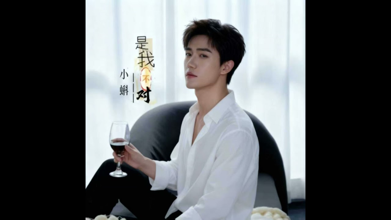 是我不对 (男童版)