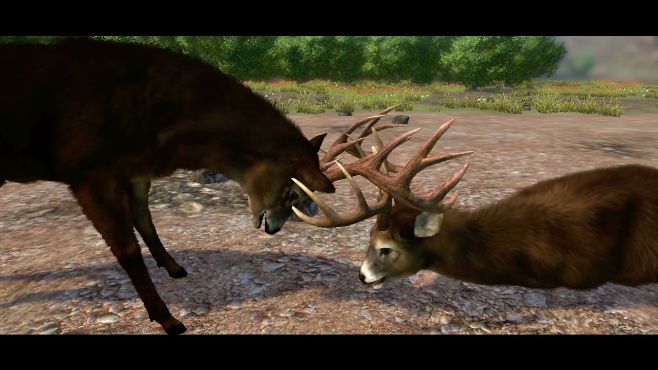 Cabela's Outdoor Adventures 2009 - A Classic