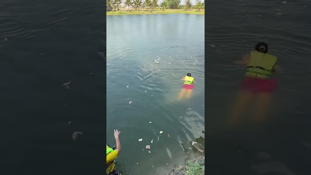 Go Bee Fishing Park 🇹🇭 Thailand , Chaing Mai
