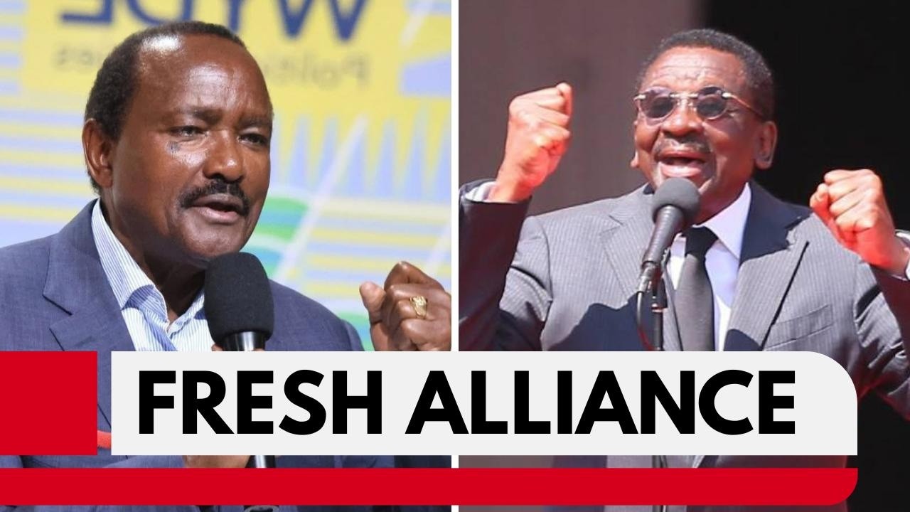 United Opposition Plot Thickens: Kalonzo Targets Sifuna and Babu Through Orengo.