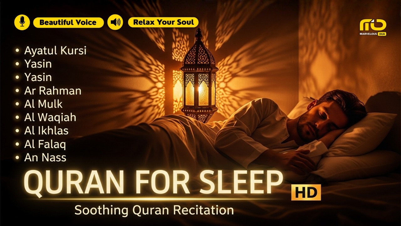Best Quran For Sleep And Your All Problems Solve | By Alaa Aqel