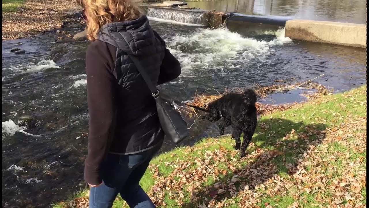 Best Things To Do In Perth, Ontario 2020 - Sights, Shops And More | HTE TRAVEL | CANADA