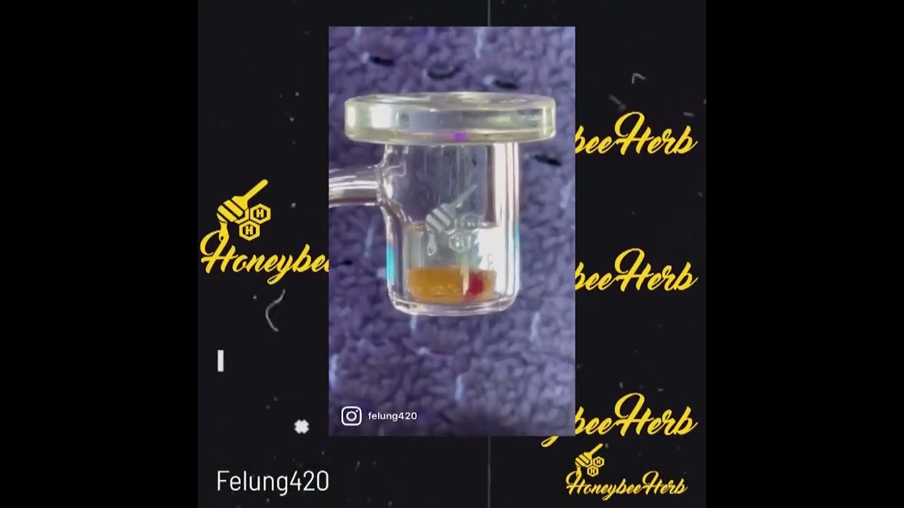 Flat Top Original 45 Degree Quartz Dab Nail Meltshots - Honeybee Herb #dabbing #quartzbanger