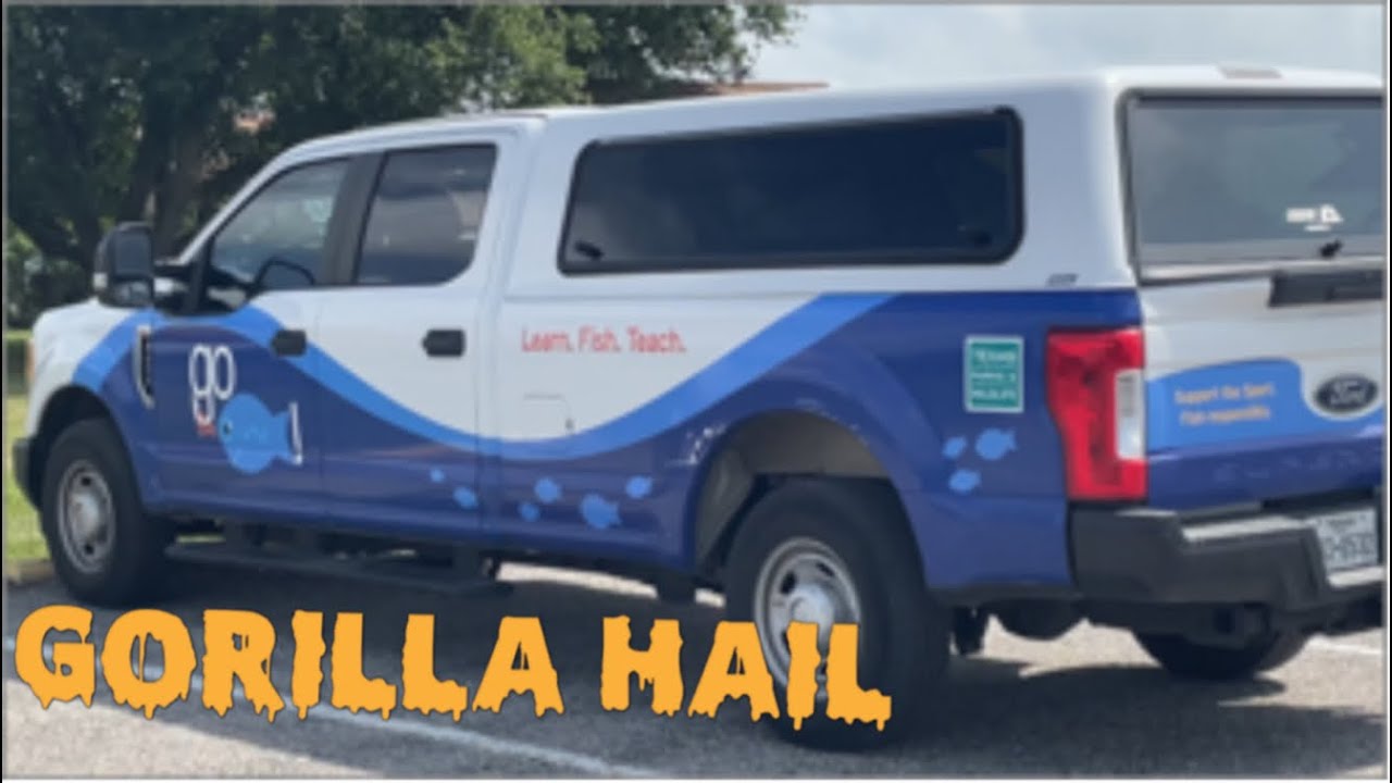 Gorilla Hail?