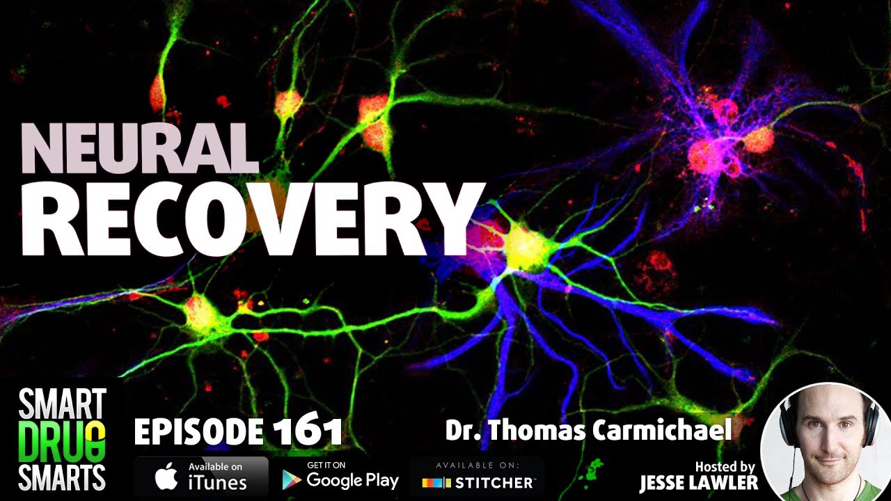 Episode 161 - Brain Repair and Regeneration